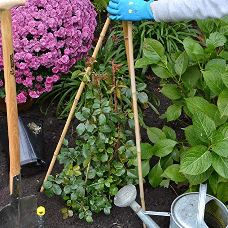 UNUS Bambusstäbe, Pflanzenstäbe zur Stabilisierung von Pflanzen im Garten, Rankstäbe Bambus 120 cm naturfarbend, 25 Stück – Bild 5