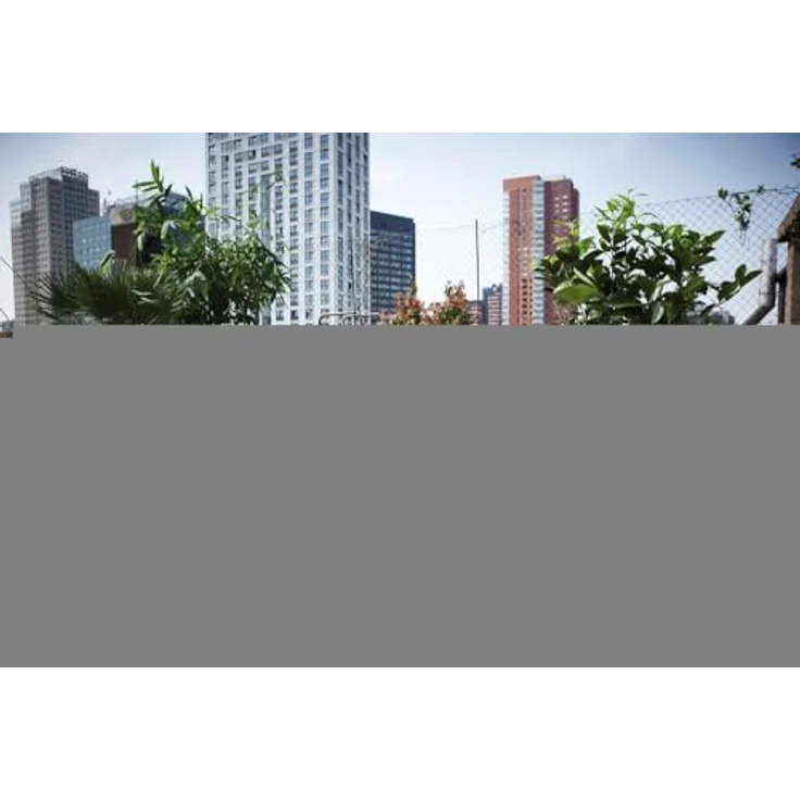 elho Loft Urban Untersetzer Rund 17, Untersetzer für Außen - Ø 17.3 x H 2.4 cm, Grün/Pistazien Grün, aus recyceltem Plastik – Bild 5