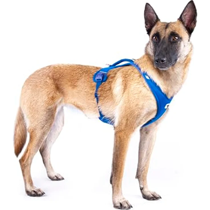 Curli Belka Harness Air-Mesh Black 4XL, Hundegeschirr mit Tailored Ergo Fit Schnittmuster und EASY GRIP BUCKLE – Bild 4