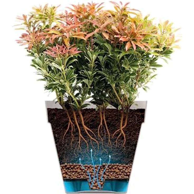 elho Loft Urban Schale 35 - Blumentopf für Außen - Ø 34.5 x H 20.2 cm - Weiß/Weiss – Bild 4