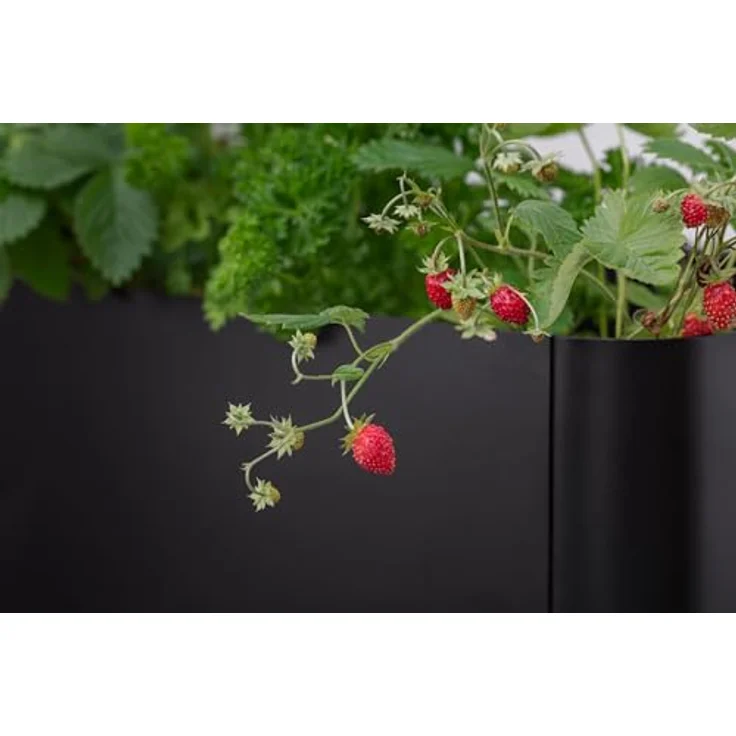Eva Solo Simply Grow Pflanzenbox, Pflanzkübel mit Selbstbewässerungssystem, wetterfest, Aluminium und pulverbeschichteter Stahl, 80 cm breit – Bild 4