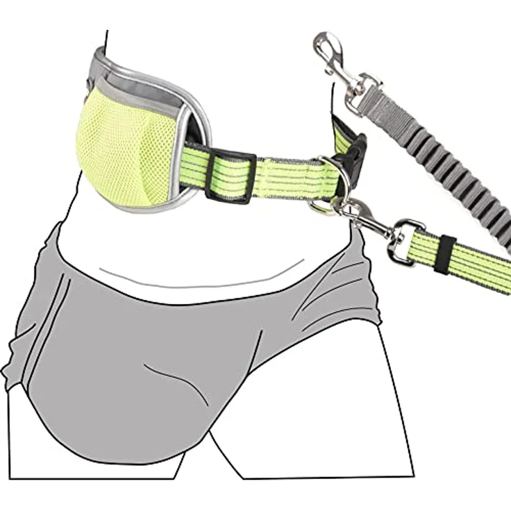 Flamingo JOGGINGLEINE + TAILLENGURT RONO, Gelb, Leine 155-250CM, Gurt 79,5-140CM, Nylon mit atmungsaktivem Mesh-Material – Bild 2