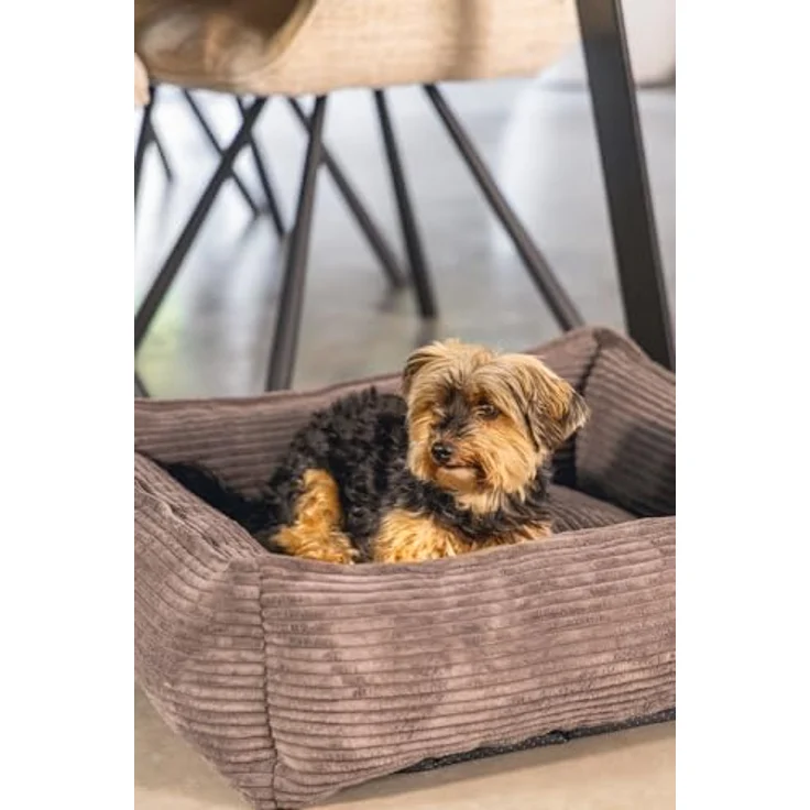 Designed by Lotte Ribbed, Hundebett + Katzenbett aus hochwertigem Rippenstoff, waschbarer Bezug, rutschfester Boden, in 5 Farben und 3 Größen erhältlich, 95x80x23 cm – Bild 7