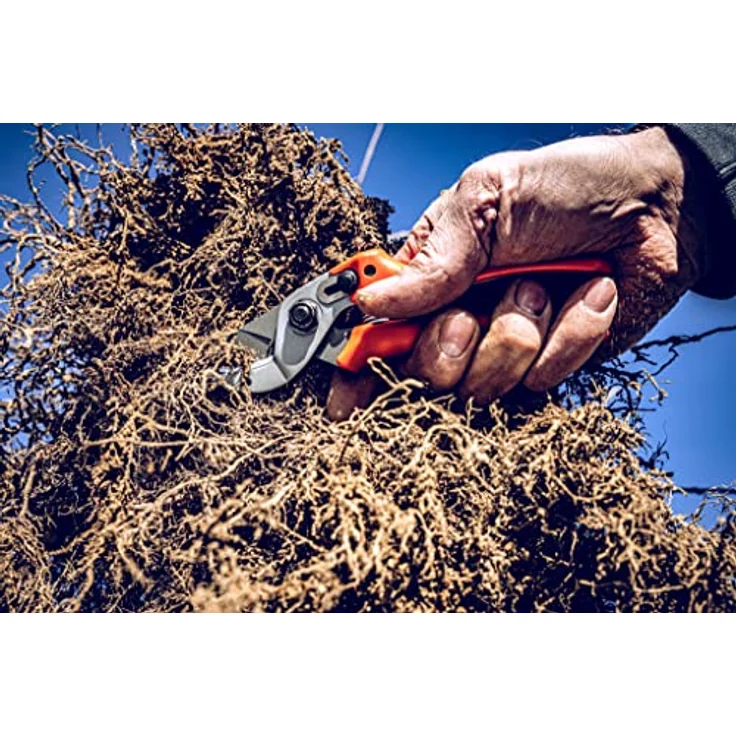 Original Löwe 15 Profi Amboss Schere 15.104 mit gebogener und antihaftbeschichteter Bypass Klinge - kompakte und starke Schere schneidet ideal hartes Holz wie Kiefer Linde Fichte Lärche mittelgroß – Bild 5