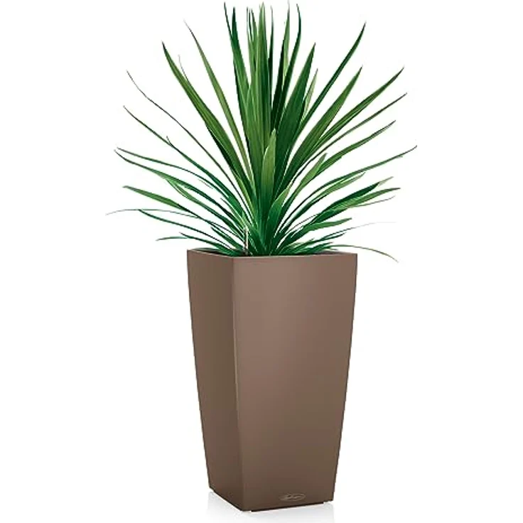 LECHUZA CUBICO Color 22 muskat 13161 – Bild 2