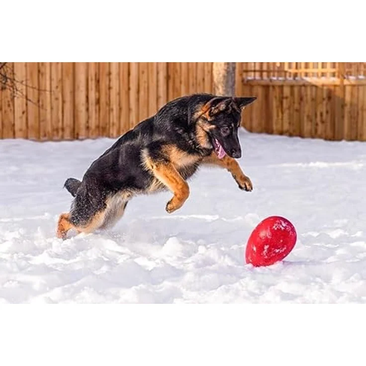 Jolly Pets Jolly Ei Hartplastik -Kugel für Pets Spaß-Hunde Chewers Spielzeug Rot 20cm – Bild 3