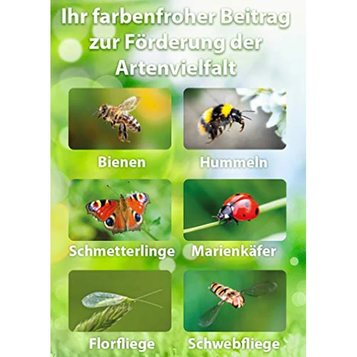 Evergreen Garden Care Deutschland GmbH SUBSTRAL&reg, Die Blumenwiese Rasen-&amp,Blumensamen 800 g – Bild 8