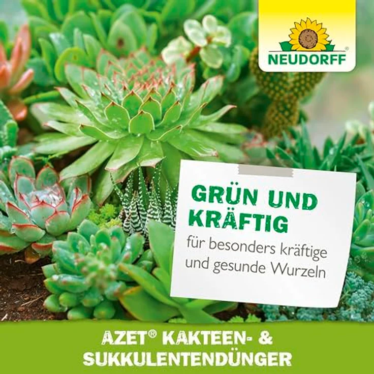 Neudorff Azet Kakteen- & SukkulentenDünger, Bio Dünger 250 ml für 50L Gießwasser, 100 % organisch und vegan mit Dosierbecher – Bild 7