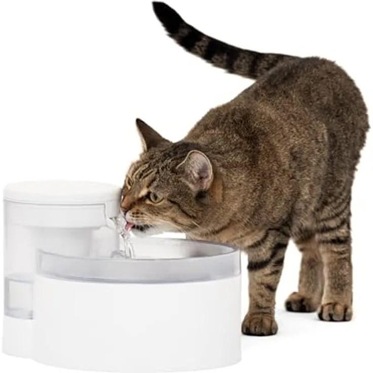 PetSafe Outlast Trinkbrunnen ohne Pumpe, 1,7 L, für Katzen und kleine Hunde, spülmaschinenfest, mit Ion-X-Filter, LED-Anzeige