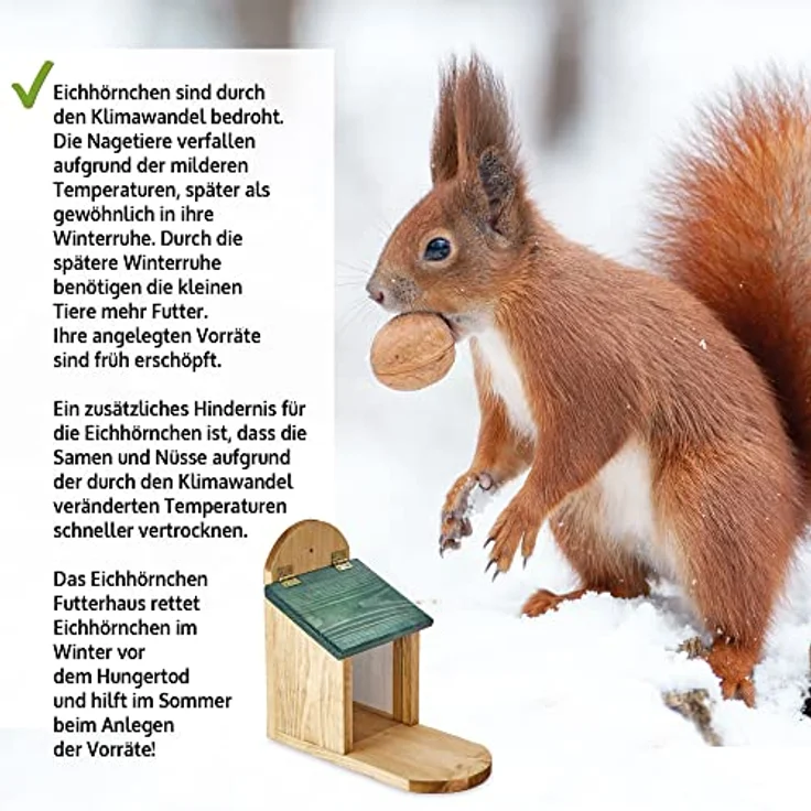 Zooprinz Eichhörnchenkobel Futterstation aus Premium Vollholz mit Plexiglas, Klappdach, große Sitzplattform, wetterfest, 26.5 cm hoch – Bild 9