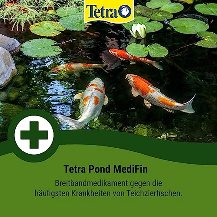 Tetra Pond MediFin (universell wirkendes Arzneimittel für alle Gartenteichfische, hilft effektiv und schnell gegen Hautparasiten und bakterielle Hautinfekte), 3 Liter Flasche – Bild 3