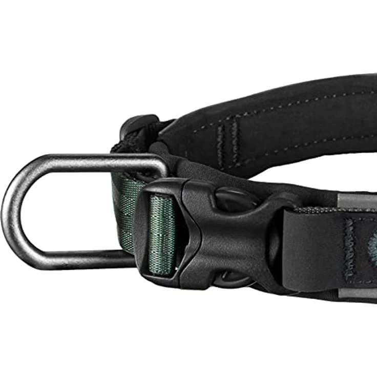 Non-stop dogwear ROAM Collar, solides gepolstertes Halsband für jede Aktivität, Größe M, Grün – Bild 2