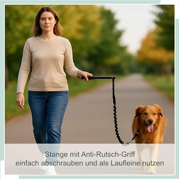 relaxdays Fahrradleine für Hunde mit Abstandshalter, Stahl, Schwarz - flexible Leine für sicheres Führen beim Fahrradfahren – Bild 3