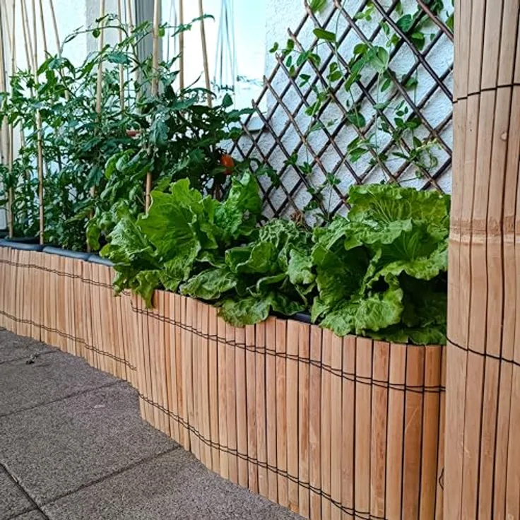Bamboona Flexible Filigrane Beetumrandung aus hellen Bambusleisten, praktische Rasenkante, anpassbare Einfassung für Beete und Mörtelkübel, 200 cm (Höhe 50 cm)