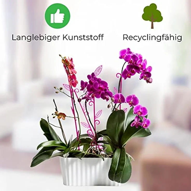 Orchideentopf Triola Glas – Bild 3