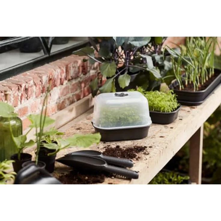 Elho Green Basics Anzucht Schale S - Lebhaft Schwarz - für drinnen & draußen, L 23.9 x W 19.2 x H 6.1 cm, frostbeständig, mit Wasserablauflöchern – Bild 5