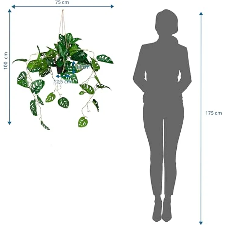hjh OFFICE Kunstpflanze MONSTERA CLIMB Kunststoff Monstera, Höhe 100.0 cm, Künstliche Hängepflanze im Topf, Deko Pflanze Fensterblatt – Bild 4