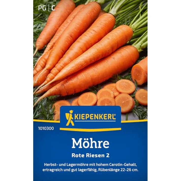 Kiepenkerl Möhren Rote Riesen 2 Zoll, Halbstumpfe rote Möhre mit optimaler Lagerfähigkeit – Bild 1