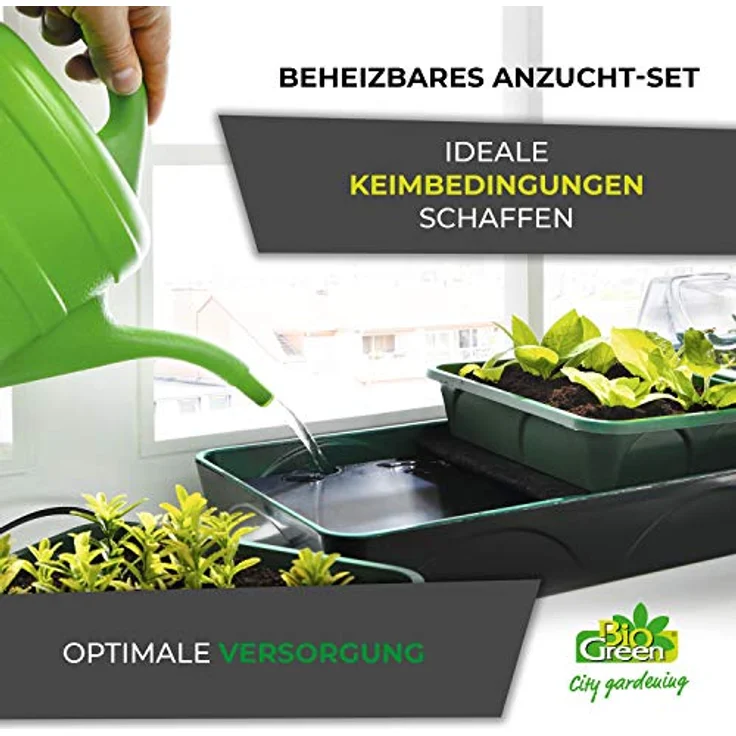 Bio Green Hollandia Anzucht-Set – Bild 2