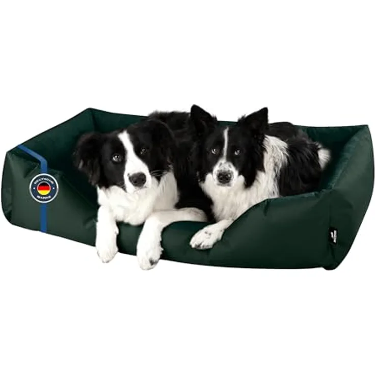 BedDog Hundebett Zara, Hundekissen mit abziehbaren waschbaren Bezug, Hundekorb, Hundesofa, für große Hunde, XXXL, Cordura und Microfaser-Velours, beige