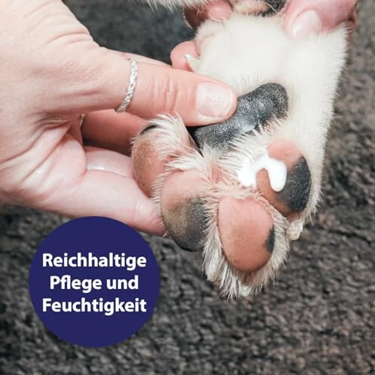 Canosept Pfotenpflege, 75 g intensive Pflegecreme für Hundepfoten, schnell einziehend, von Tierärzten empfohlen – Bild 2