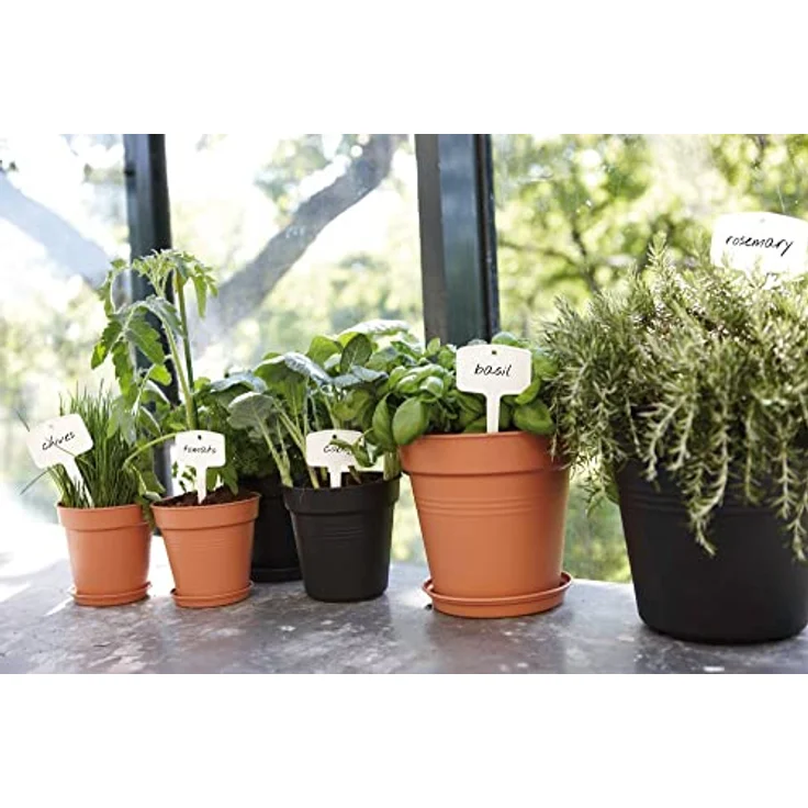 Elho Green Basics Untersetzer 17cm - Lebhaft Schwarz – Bild 7
