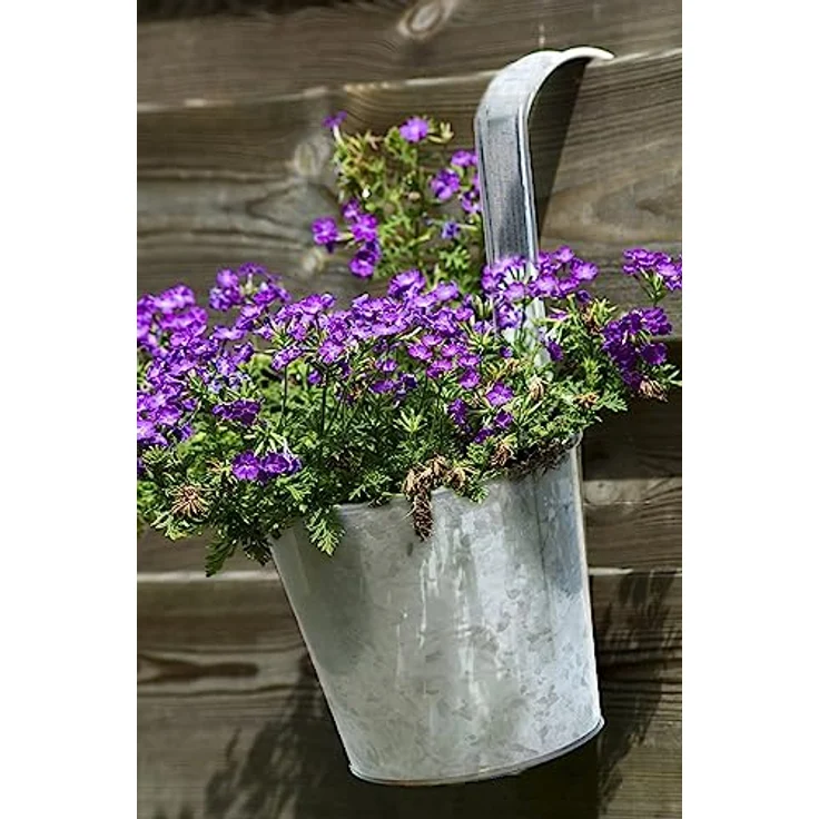 Spetebo 6er Set Balkon Hängetopf Silber mit Haken zum Aufhängen - Zink Garten Blumentopf für Geländer und Zaun - Pflanzen Hängetöpfe Kräuter Topf Blumen Vase Übertopf mit Aufhängung – Bild 5