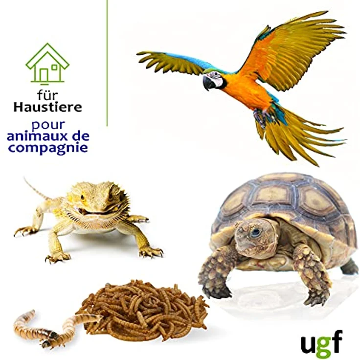 UGF Premium Mehlwürmer getrocknet 1 Kg, Insekten Snacks für Vögel, Hamster, Igel, Eidechsen, Schildkröten – 51% Protein, 100% natürlich ohne Konservierungsstoffe und Farbstoffe – Bild 3