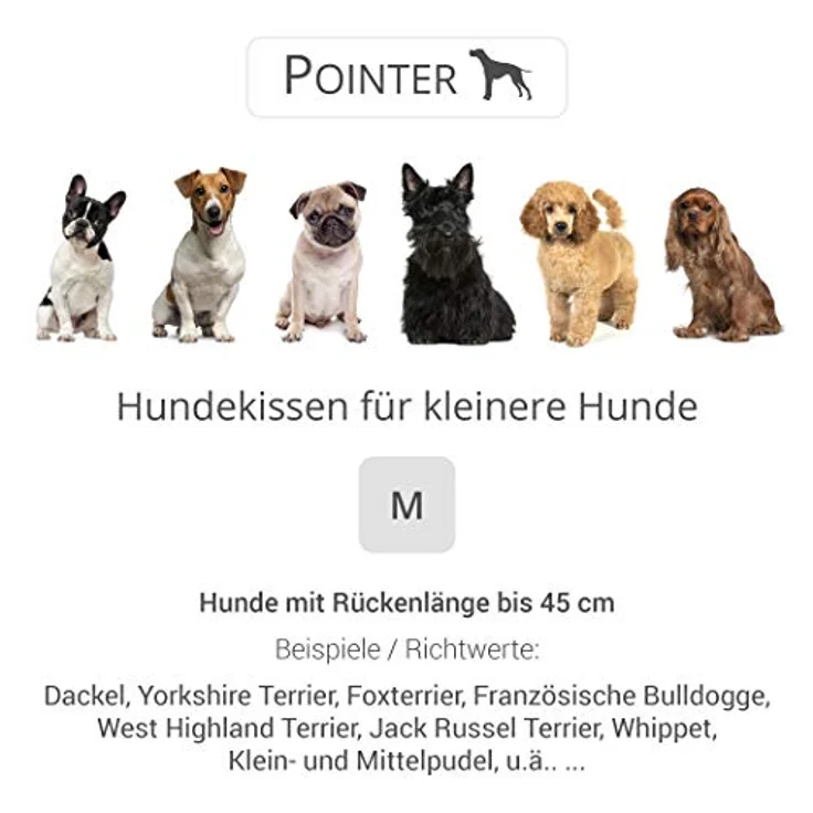Pointer | Hundekissen waschbar, orthopädisches Hundebett für kleinere Hunde (M - 70x50 cm, Hellgrau) – Bild 5