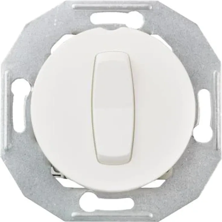 Schneider WDE011021 mit Zentralplatte ws Renova,