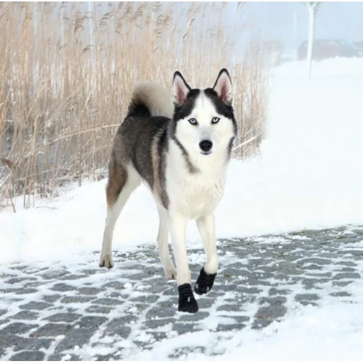 Trixie Pfotenschutz Walker Active 2 Stück schwarz XL