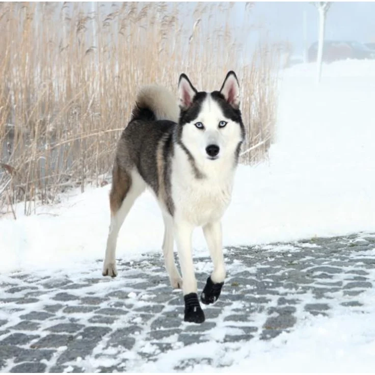 Trixie Pfotenschutz Walker Active 2 Stück schwarz XL