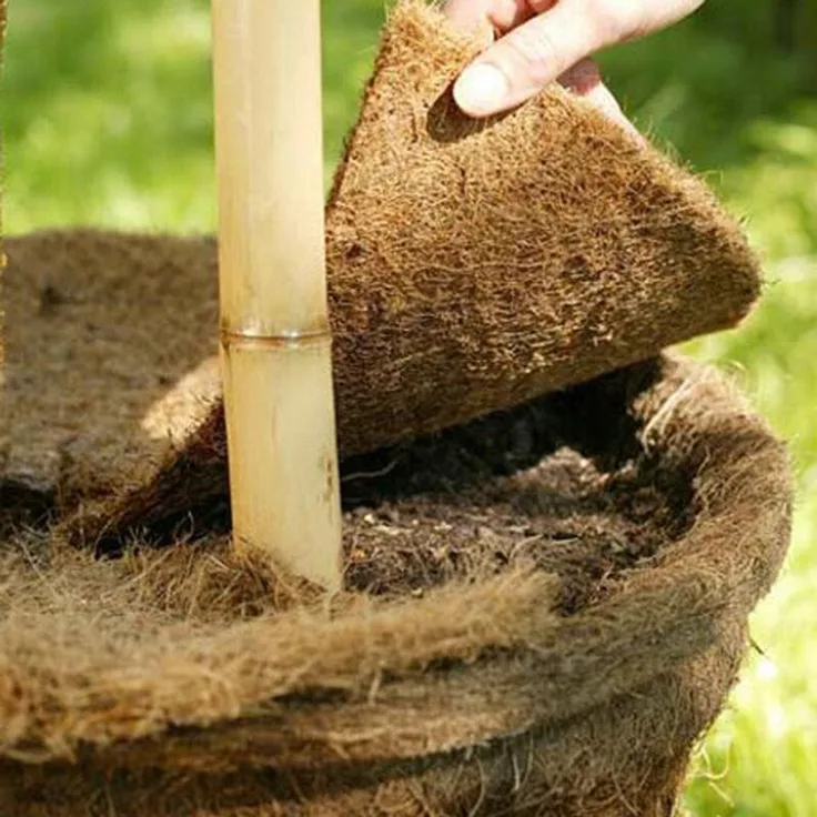 Kokos-Mulchscheibe 25cm Kokosmatte Winterschutz Frostschutz Pflanzenschutz