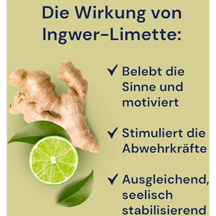 Spitzner Saunaaufguss Ingwer Limette 1 Liter 8850018 – Bild 2