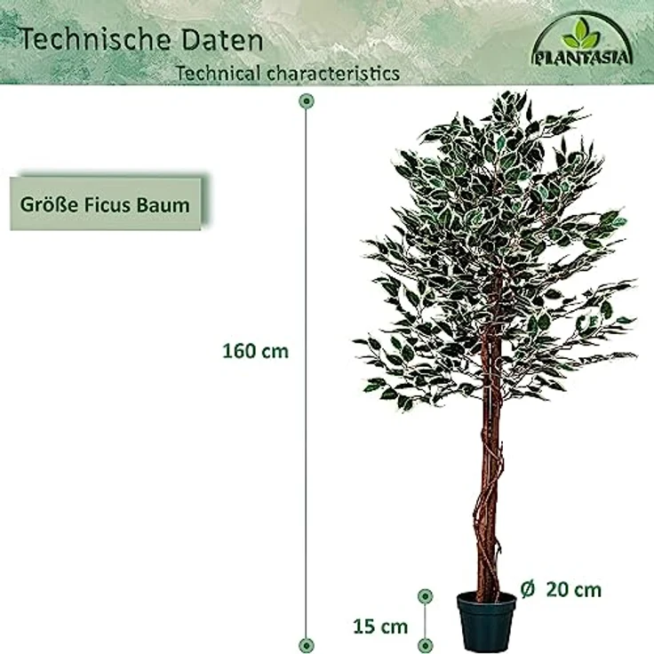 PLANTASIA Kunstpflanze Ficus Benjamini 160 cm, authentisch wirkender künstlicher Baum mit Echtholzstamm und 714 detailreichen Blättern – Bild 4