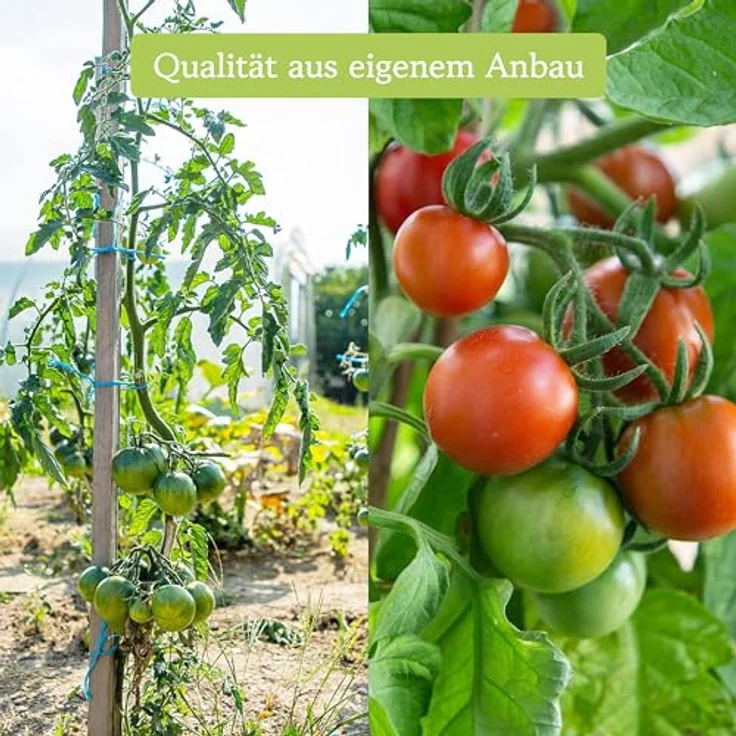 Tomaten Samen Set Mit 12 Sorten Tomatensamen Für Garten Und Balkon Tomaten – Bild 6