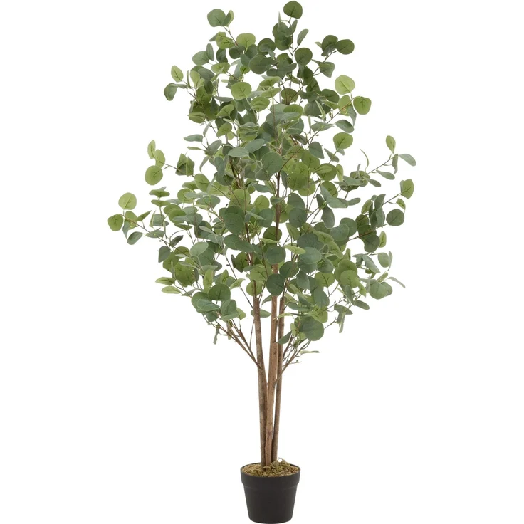 ML-Design Künstliche Eukalyptus 150 cm, Kunstpflanze mit echtem Holzstamm, pflegeleicht und naturgetreu