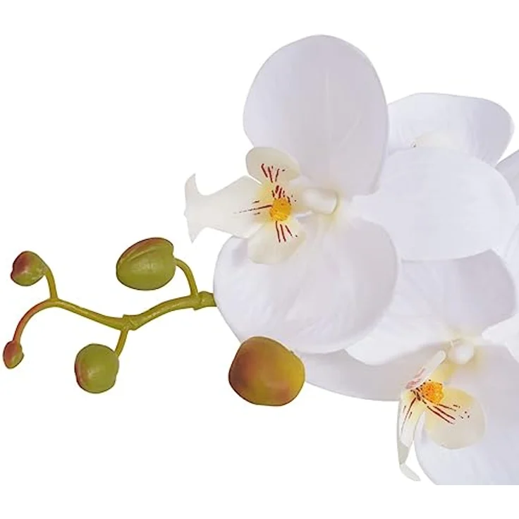 vidaXL Künstliche Orchidee mit Topf 75 cm Weiß – Bild 2