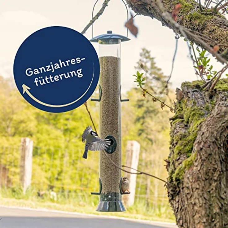 Lyra Pet® | 25 kg Sonnenblumenkerne Geschält Bruch | Wildvogelfutter Ganzjährig | Optimal für Jungtiere | Vogelfutter für Wildvögel | Wertvolles Streufutter | Energiespender für Sommer und Winter - Preisvergleich – Bild 3