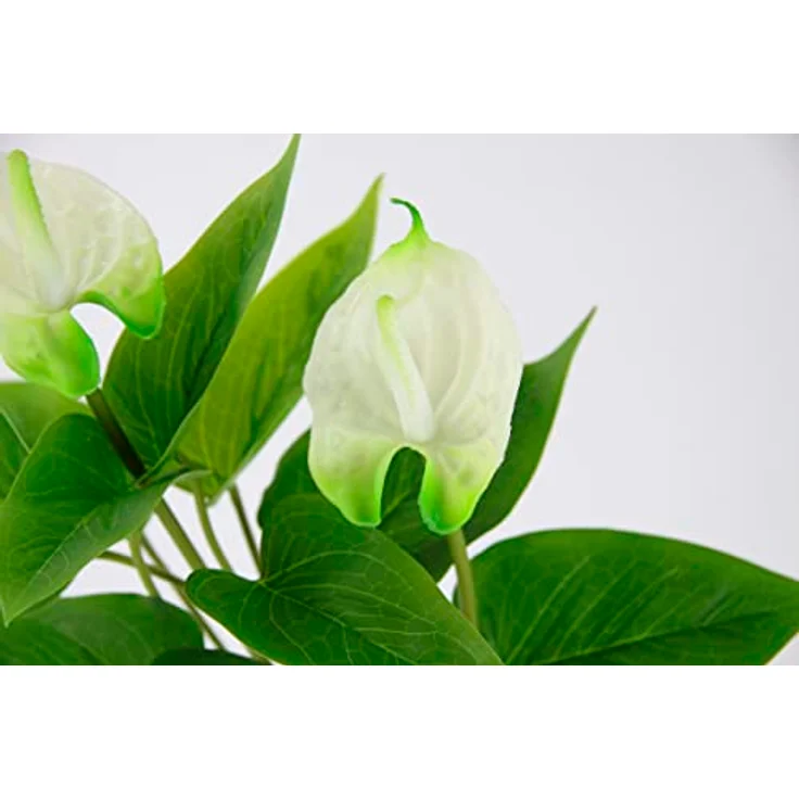Künstliche Anthurium Pflanze im Topf Anthurie Calla exotische Flamingoblume Flamingo Blume exotische Pflanze mit weißen Blüten Flamingopflanze Kunstpflanze Dekopflanze Kunstblume Deko Zimmerpflanze – Bild 2