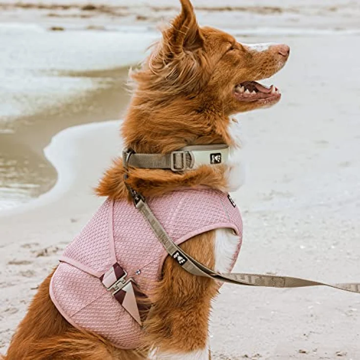 Hurtta Cooling Wrap Kühlweste für Hunde Kühljacke Hund Hundekühlweste Kühlendes Hundegeschirr Dog Cooling Vest Pet Cooling Vest Kühljacke für Hunde Gelb 45-55cm – Bild 5