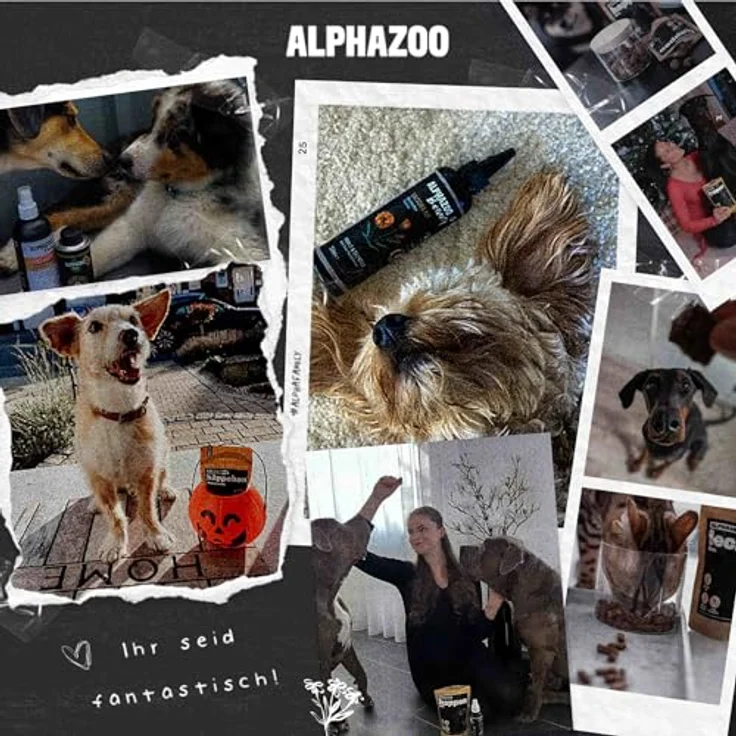 ALPHAZOO Seelenruhe Körbchenspray 100ml, Natürliches Anti-Stress Beruhigungsmittel mit Baldrian für Hunde – Bild 6