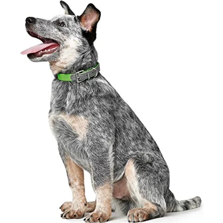 HUNTER CONVENIENCE COMFORT Hundehalsband, Kunststoffmaterial, Neopren, 50 M, apfelgrün – Bild 3