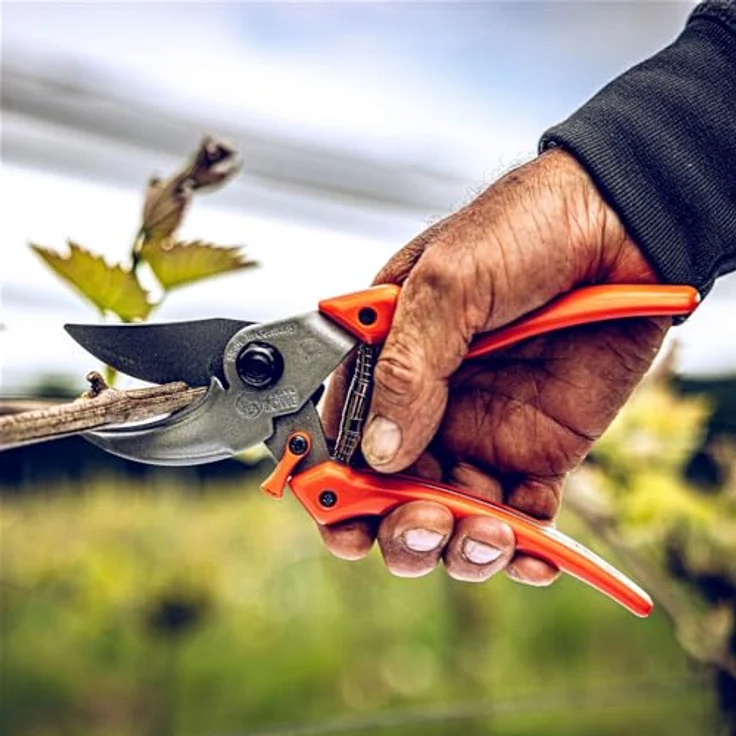 Löwe Gartenschere Original Löwe 9, Länge ca. 22 cm, Bypass Standard Baumsäge, ergonomischer Griff, Metall-Design – Bild 1