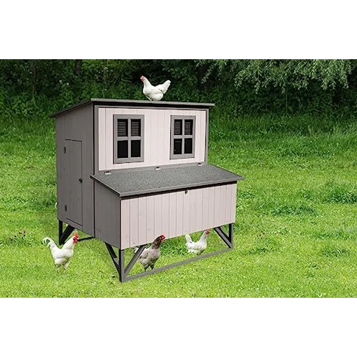 Flamingo Hühnerstall Cosmo Cottage Grau – 120 cm L x 99 cm B x 120 cm H, mit Plexiglasfenster, 4 Legenestern, Laufsteg und 2 Sitzstangen – Bild 2