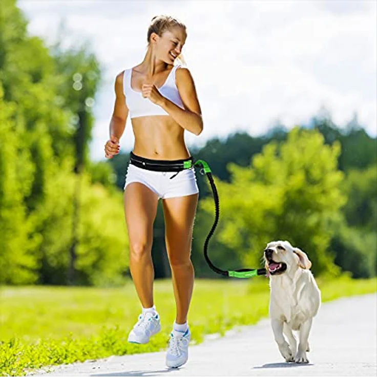 Leisegrün Joggingleine für große Hunde | Freihandleine zum Joggen mit Bauchgurt und Ruckdämpfer | Länge 125 cm bis 175 cm | Farbe: Grün – Bild 3