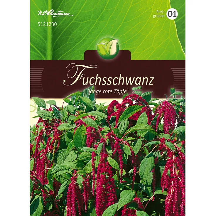 N.L. Chrestensen Amaranthus, Fuchsschwanz, rotblättrig