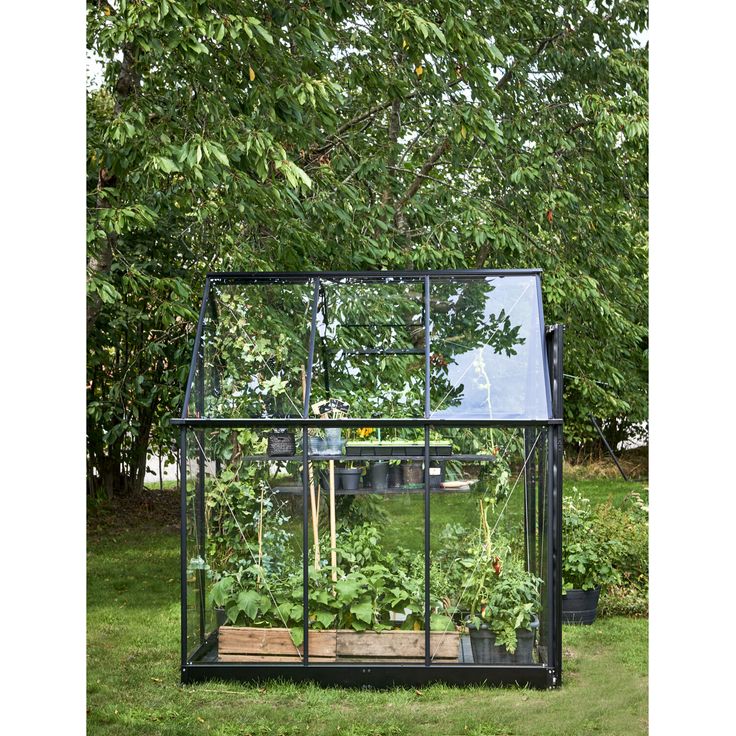 Halls Gewächshaus 'Qube' 66 schwarz 3,8 m² 188,8 x 188,8 x 219 cm