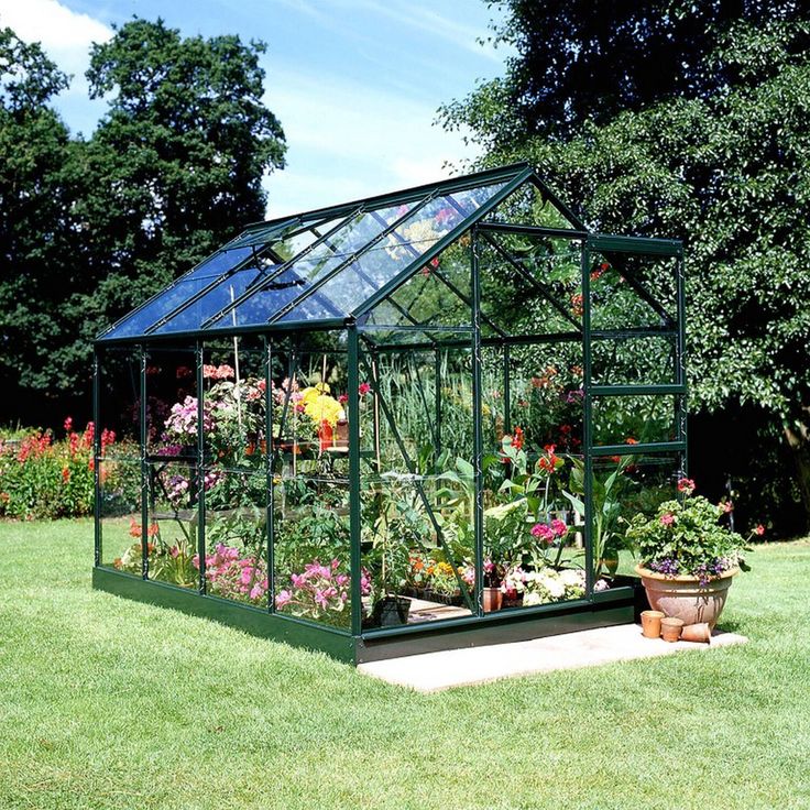Halls Gewächshaus 'Popular 86' 5,0 m² Blankglas 3 mm grün 193 x 257 x 196 cm