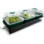 Bio Green Hollandia Anzucht-Set